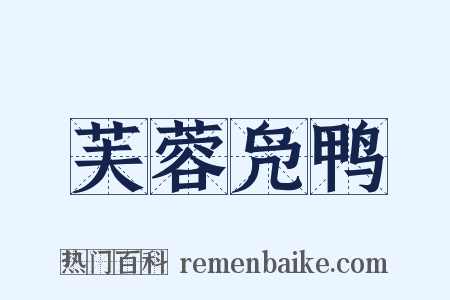 芙蓉凫鸭是什么意思的图片